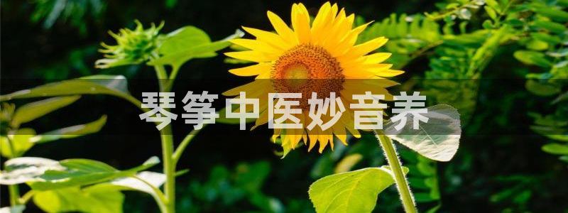 凯发k8娱乐旗舰app下载