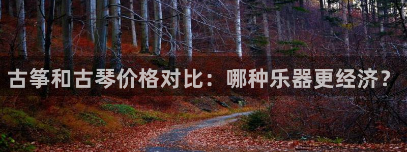 凯发网址直营