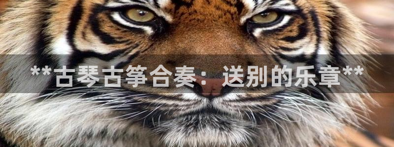 凯发k8国际官网可靠吗