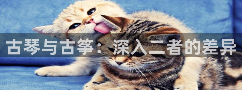 凯发旗舰客户端