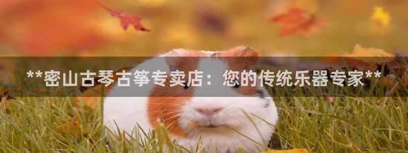 凯发k8手机是正品吗知乎
