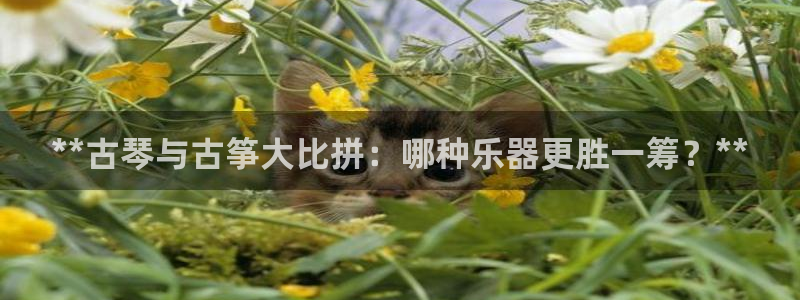 凯发娱乐唯一官网