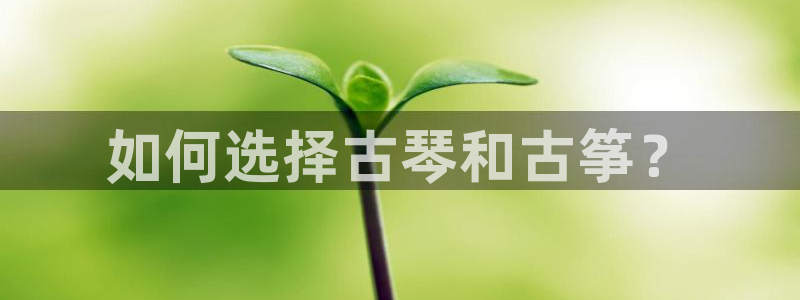 凯发国际真人