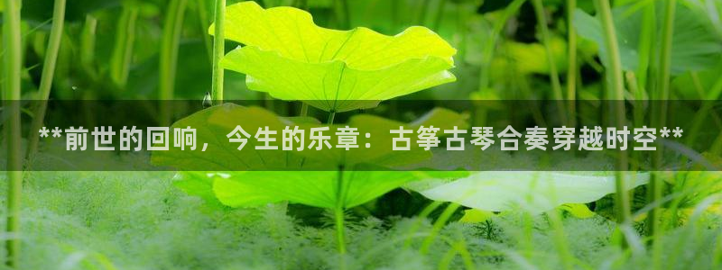 凯发平台敌7O777