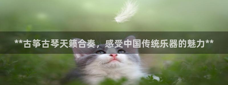 凯发k8旗舰店