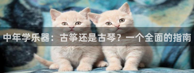 凯发旗舰网站