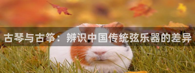 凯发k8旗舰厅手机下载