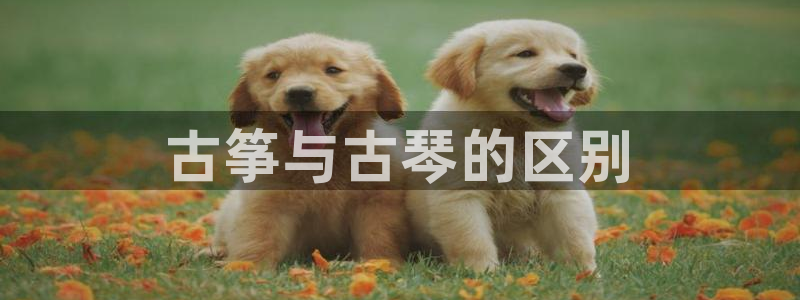 凯发国际app下载