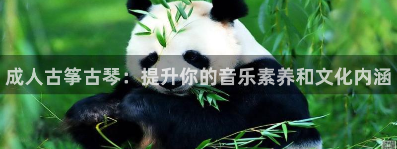 k8凯发国际首页