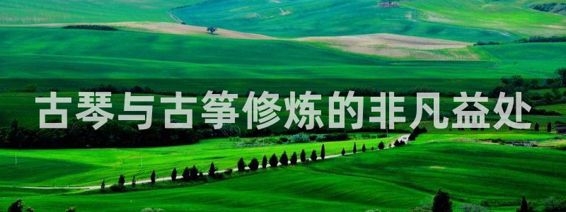 凯发网网站