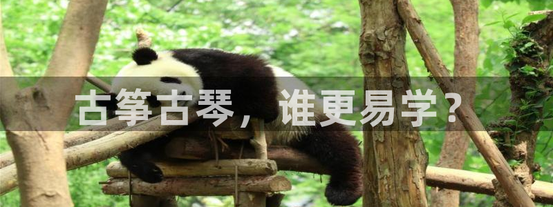 凯发k8旗舰厅手机app下载