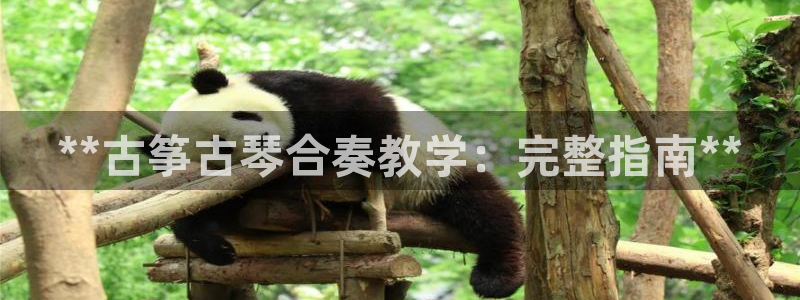 凯发k8娱乐品牌导航