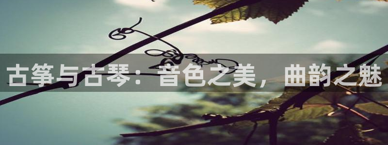 凯发国际网站