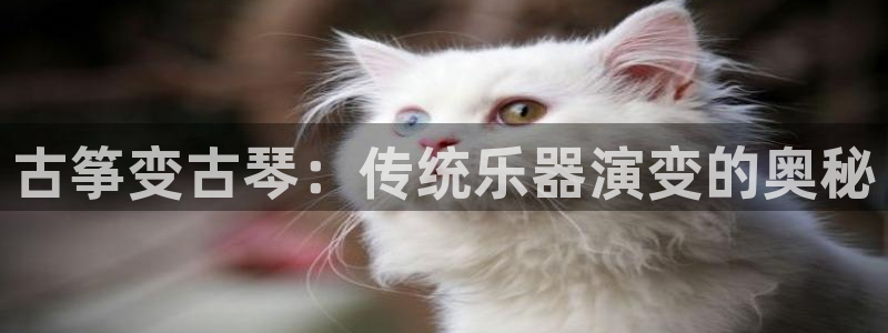 凯发线上官方网站下载网址