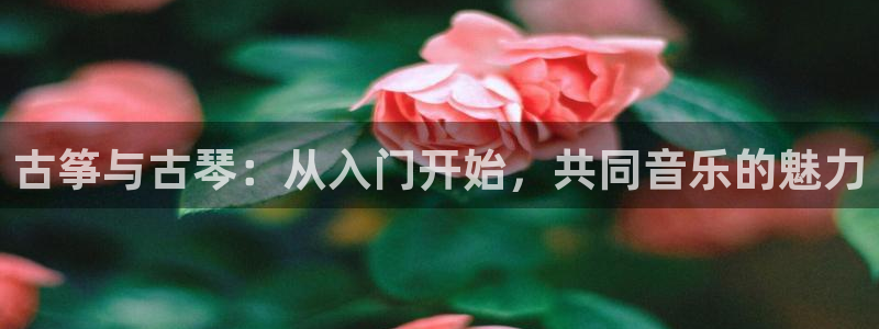 凯发网官网：古筝与古琴：从入门开始，共同音乐的魅力