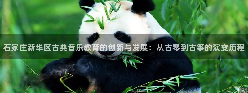 凯发k8登录首页：石家庄新华区古典音乐教育的创新与发展：从古