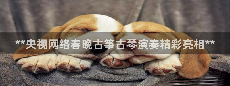 凯发网网站
