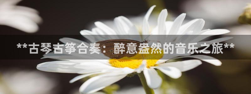凯发网址直营
