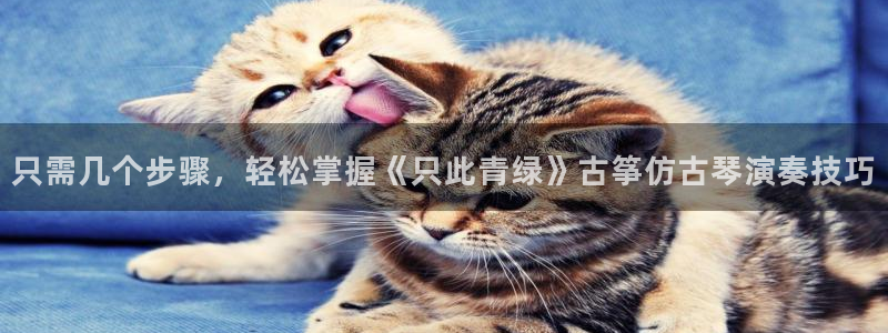 凯发国际网站