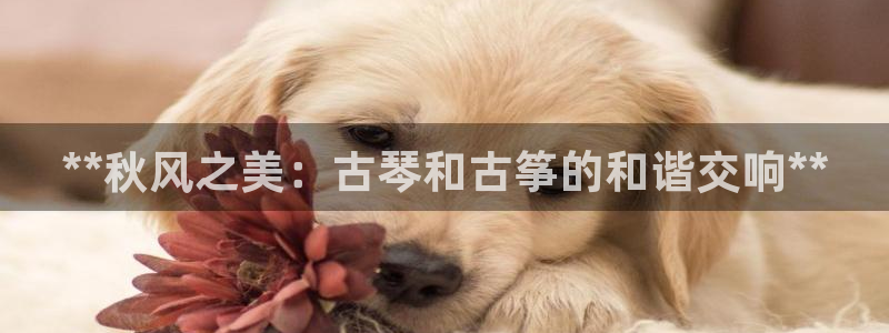 凯发国际网址官网