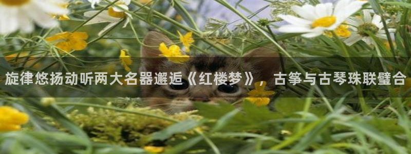 凯发k8手机是正品吗多少钱
