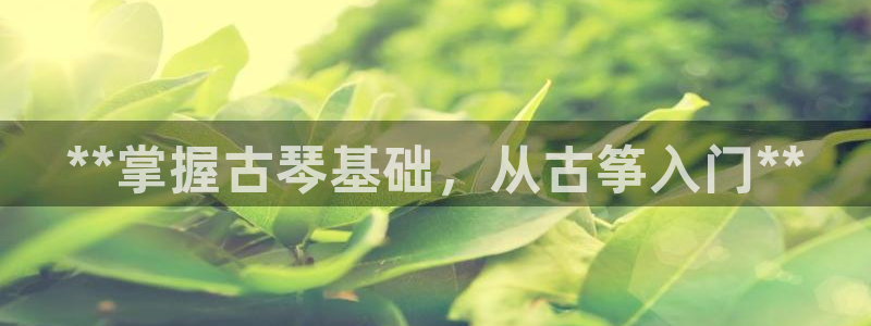凯发娱乐官方网站
