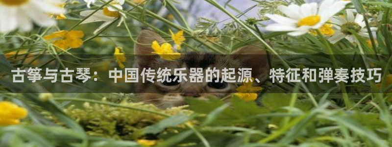 凯发k8旗舰厅手机app下载