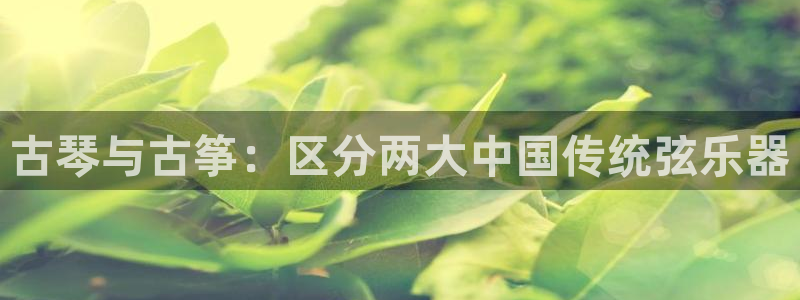 凯发网址直营