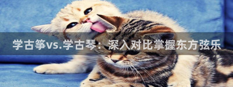 凯发国际真人