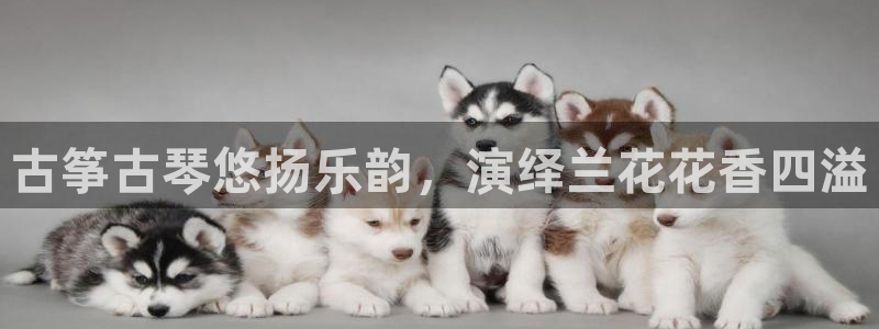 凯发官网手机app