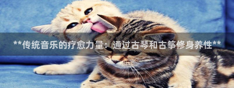 l凯发国际官网