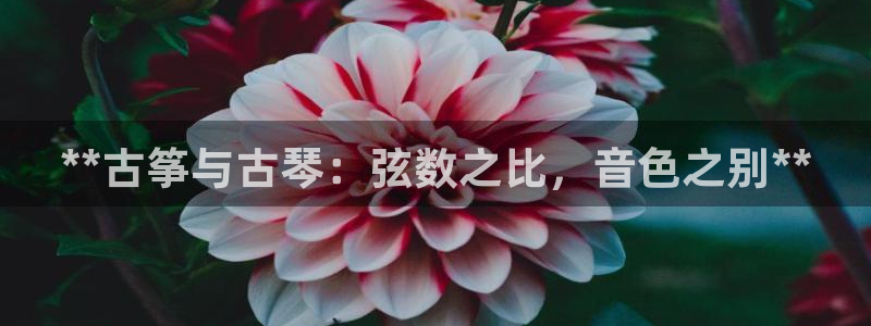 凯发国际可靠送38元