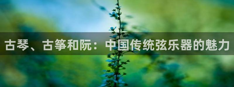 国际凯发k8真人版旗舰厅