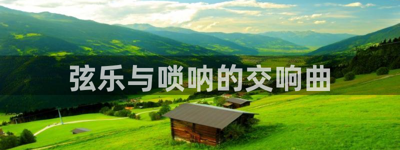 凯发网址多少