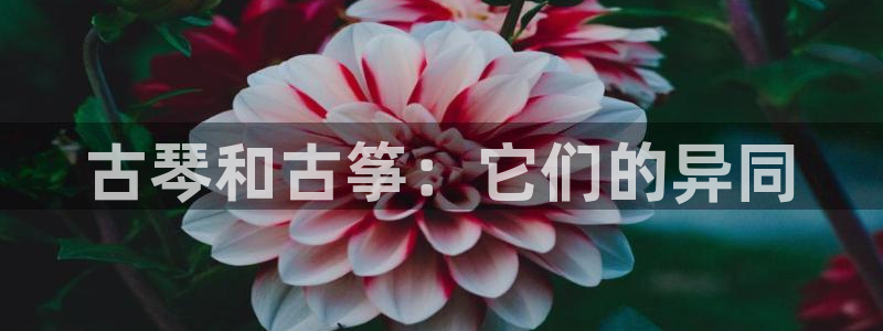 凯发国际亚洲有限公司