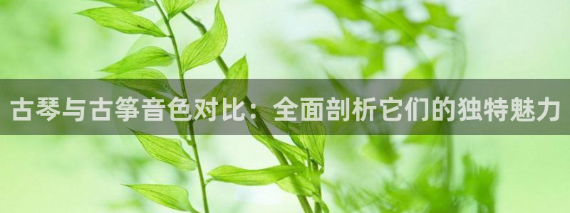 凯发娱乐k8国际