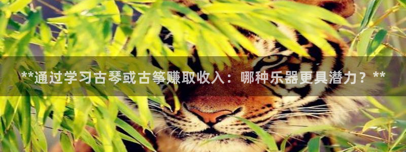 凯发官网|认准kpm