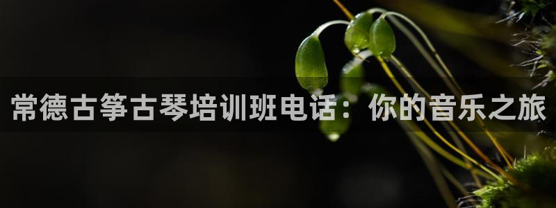 凯发平台网址