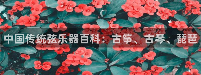 凯发k8555|手机版