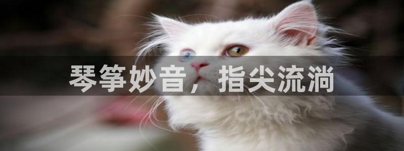 凯发平台轻7O777
