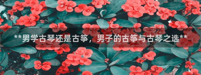 凯发平台网址