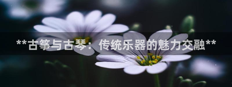 凯发k8娱乐官方下载