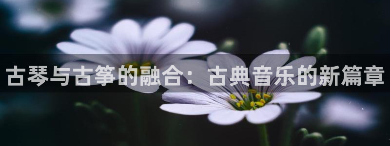 凯发国际是什么