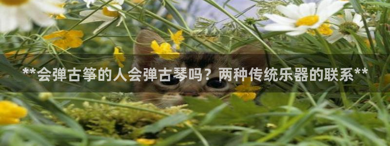 凯发k8网站是多少