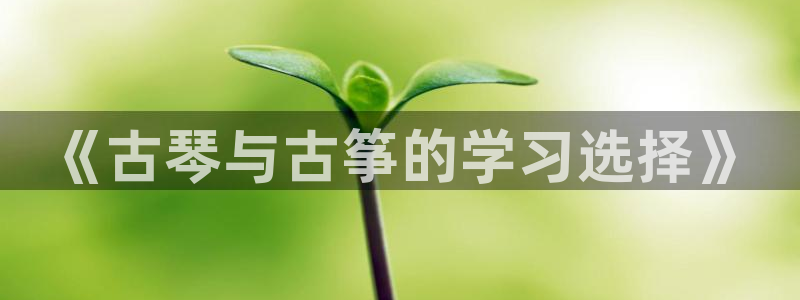 凯发k8娱乐网址多少