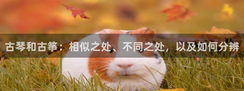 凯发网娱乐官网国际