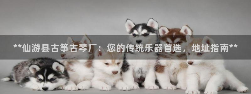 凯发线上客户端免费下载