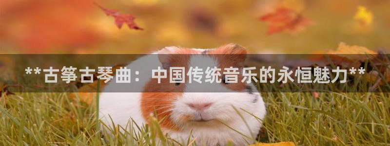 凯发k8手机是正品吗知乎