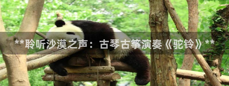 凯发国际app下载