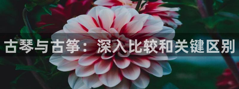 凯发K8旗舰厅
